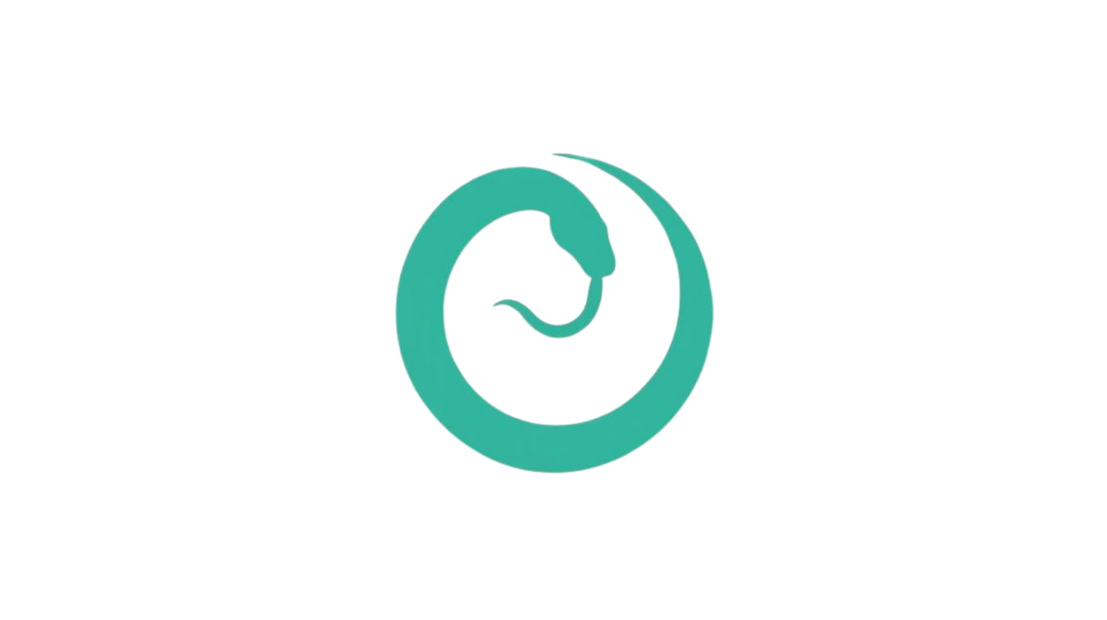 ouroboros icon trans